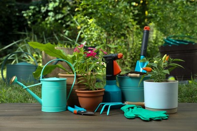 Photo of Beautiful plants and gardening tools on wooden table at backyard