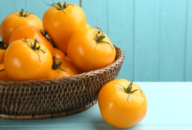 Ripe yellow tomatoes in wicker bowl on light blue wooden table