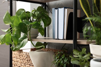 Shelving unit with beautiful house plants indoors. Home design idea