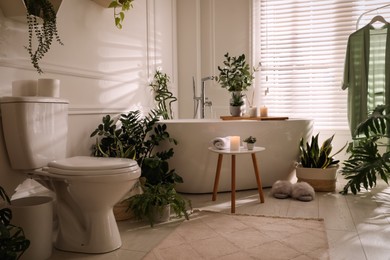 Stylish bathroom interior with white toilet bowl, tub green houseplants