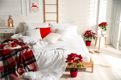 Christmas bedroom interior with red woolen blanket and poinsettias
