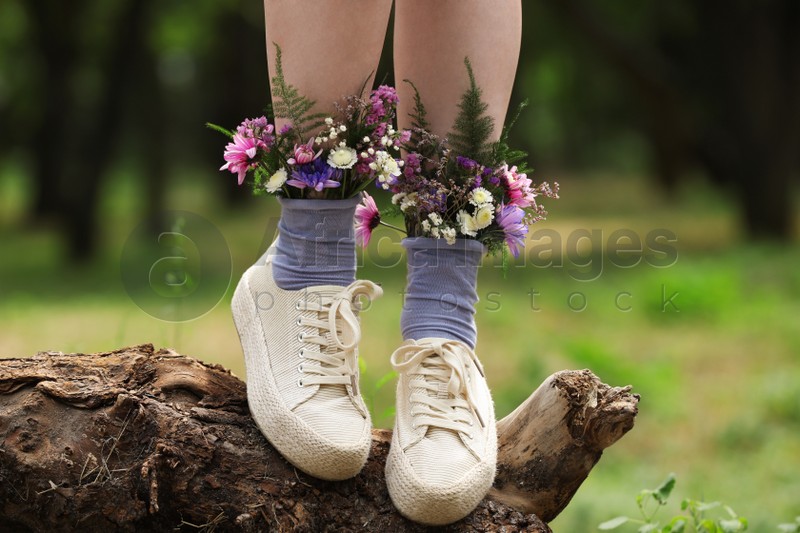 Woman standing on log with flowers in socks outdoors, closeup: Stock ...
