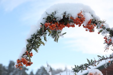 Photo of Berries on rowan tree branch covered with snow outdoors