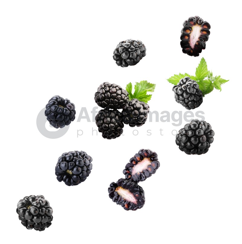 Delicious ripe blackberries flying on white background