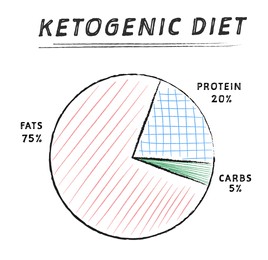 Food chart on white background, illustration. Keto diet