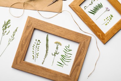 Flat lay composition with frames of wild dried meadow flowers on white background