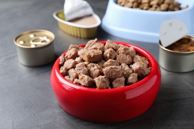 Wet pet food in feeding bowl on grey table