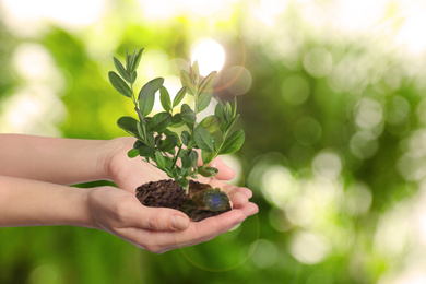 Woman holding small tree in soil on blurred background, closeup. Ecology protection