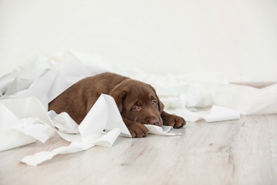 Cute chocolate Labrador Retriever puppy with torn paper on floor indoors. Space for text