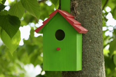 Green bird house on tree trunk outdoors