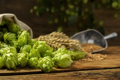 Photo of Fresh green hops, wheat grains and spikes on wooden table, closeup. Space for text
