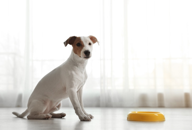 Photo of Cute Jack Russel Terrier near feeding bowl indoors. Lovely dog