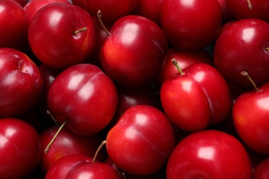 Fresh ripe cherry plums as background, closeup