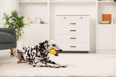 Photo of Adorable Dalmatian dog playing with yellow ball indoors