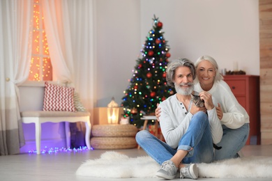 Happy couple with cute cat celebrating Christmas at home