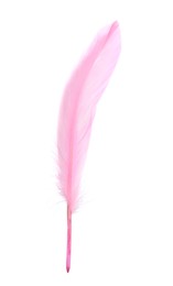 Fluffy beautiful pink feather isolated on white