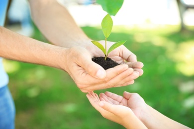 Man passing soil with green plant to his child on blurred background. Family concept