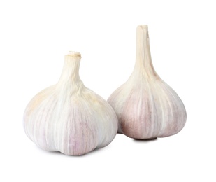 Fresh organic garlic bulbs on white background