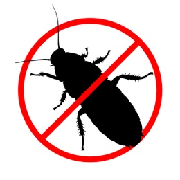 Cockroach silhouette with red prohibition sign on white background. Pest control