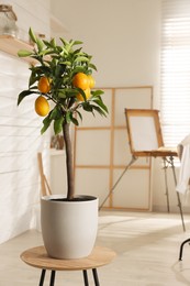 Idea for minimalist interior design. Small potted lemon tree with fruits on table indoors