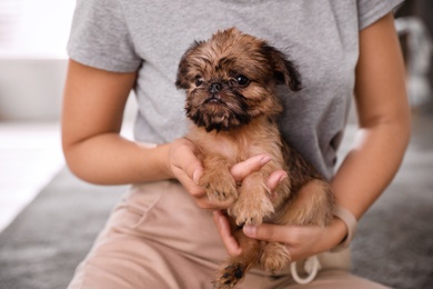 Woman holding adorable Brussels Griffon puppy indoors, closeup
