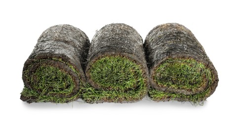 Photo of Rolls of grass sod on white background