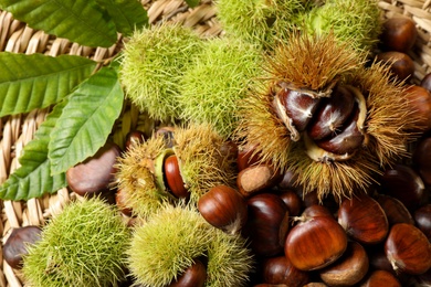 Photo of Fresh sweet edible chestnuts on wicker mat