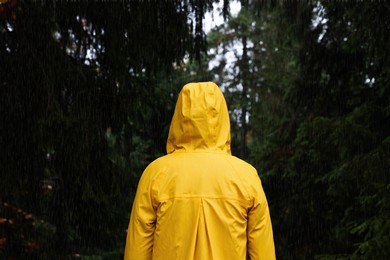 Woman with raincoat in forest under rain, back view