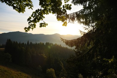 Picturesque view of mountain landscape with forest at sunrise