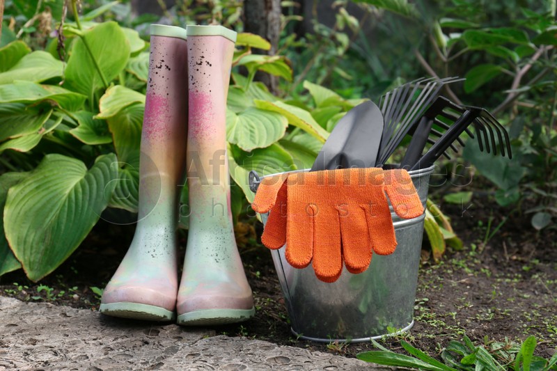 Photo of Metal bucket with gloves, gardening tools and rubber boots near plants outdoors