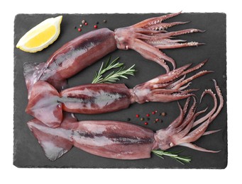 Fresh raw squids with lemon, rosemary and pepper on white background, top view