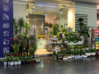 Photo of WARSAW, POLAND - JULY 23, 2022: Aga Flowers store in shopping mall