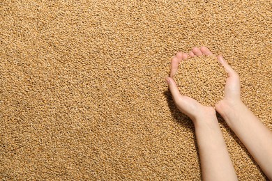 Woman holding wheat over grains, top view