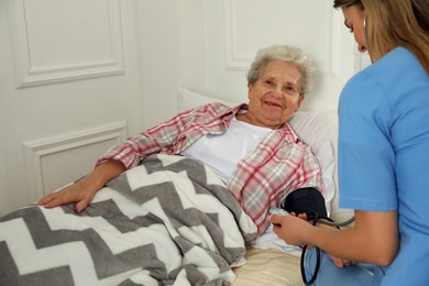 Young caregiver measuring blood pressure of senior woman in room. Home health care service