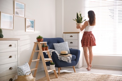 Woman carrying houseplant from wooden ladder to chest of drawers at home