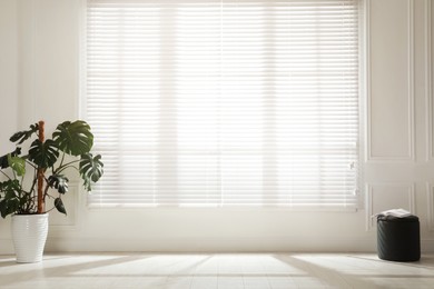 Monstera plant and pouf near large window with blinds in spacious room. Interior design