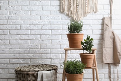 Different aromatic potted herbs near white brick wall indoors, space for text