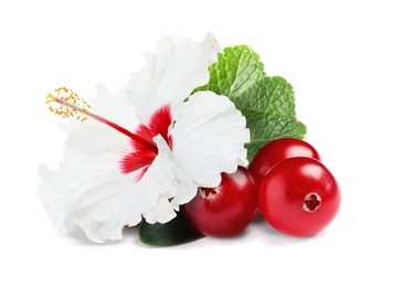 Beautiful hibiscus flower, fresh cranberries and mint on white background