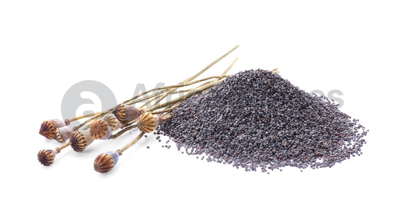 Photo of Dry poppyheads and pile of seeds on white background