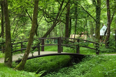 Picturesque view of tranquil park with green plants and bridge