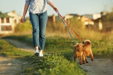 Young woman walking her adorable Brussels Griffon dogs outdoors