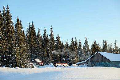Wooden houses near snowy coniferous forest on winter day