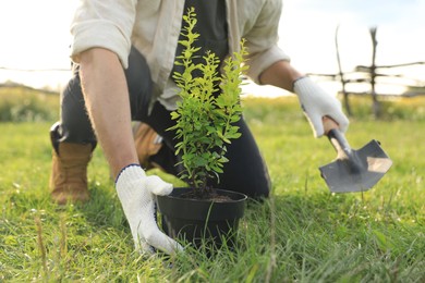 Photo of Man planting tree in countryside on sunny day, closeup