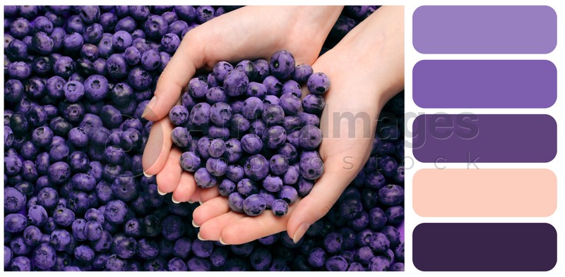 Color palette appropriate to photo of woman holding fresh blueberries, top view