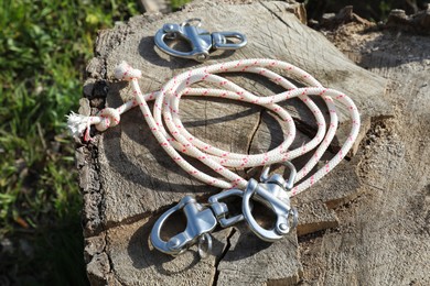 Climbing ropes with carabiners on tree stump