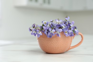 Photo of Beautiful wood violets in cup on white table, space for text. Spring flowers