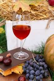 Glass of wine, book and grapes on green grass outdoors. Autumn picnic