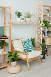 Photo of Beautiful living room interior with different houseplants and wooden furniture