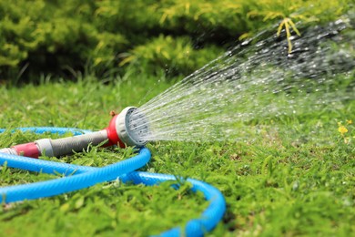 Water spraying from hose on green grass outdoors, closeup