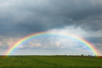 Amazing rainbow over green field under stormy sky